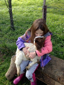 Goat love